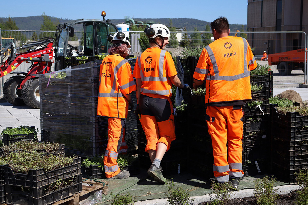 Agaia_planting_nytt sykehus_Drammen_1200px Agaia oppdaget raskt at AutoReg hadde et enormt potensial.
