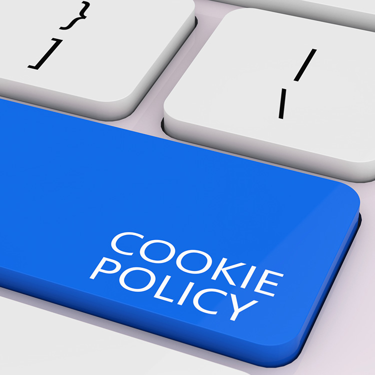 Cookie Policy in SmartDok Cookie Policy